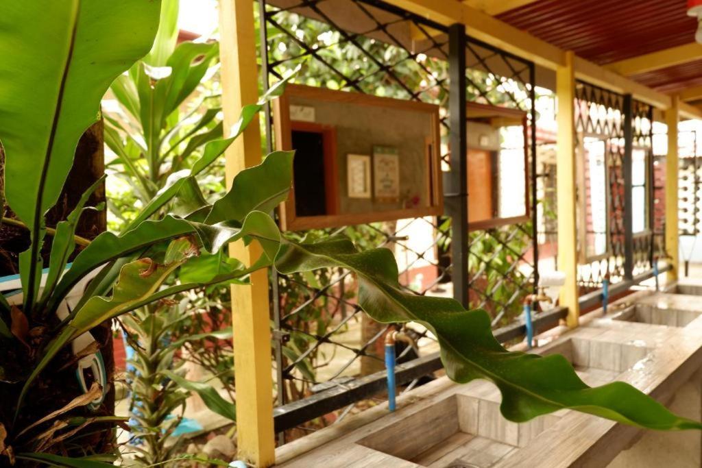 Cebu Budgetel - It Park City Center מראה חיצוני תמונה